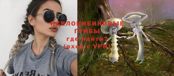 не бодяженный Алексин